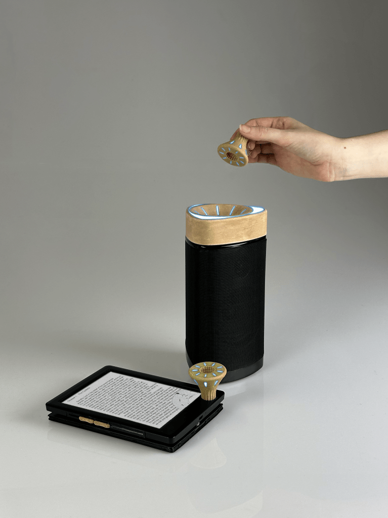 A Designerly Perspective on IoT